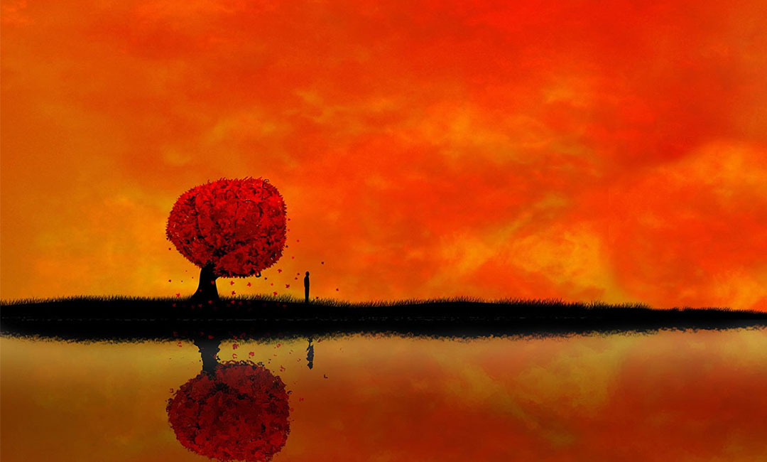 石景山笙影微信朋友圈转发案例